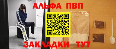 шишки Дубна