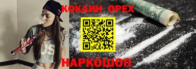 шишки Дубна