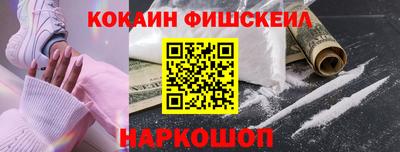 шишки Дубна