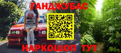шишки Дубна