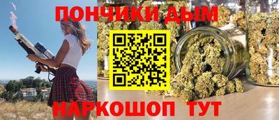 шишки Дубна