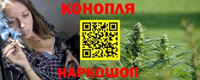 шишки Дубна