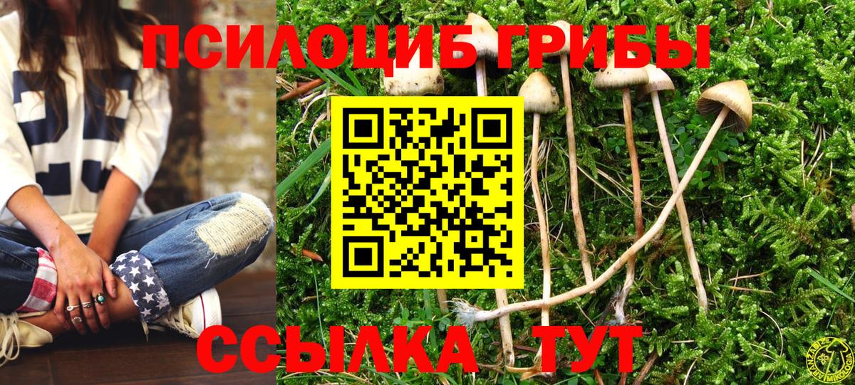 Галлюциногенные грибы Magic Shrooms  Вход с VPN  Куйбышев 
