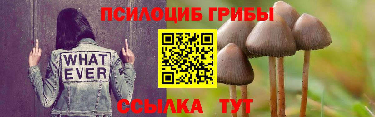 Псилоцибиновые грибы мицелий Куйбышев